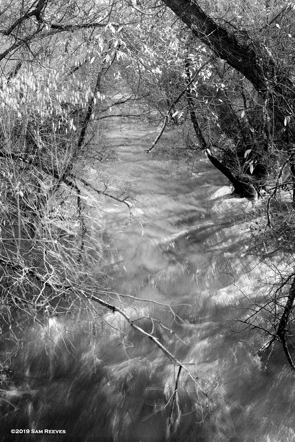 Carmel River