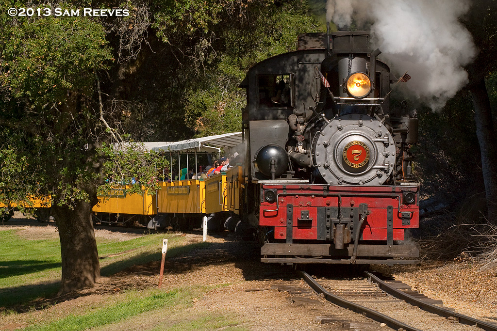 Roaring Camp