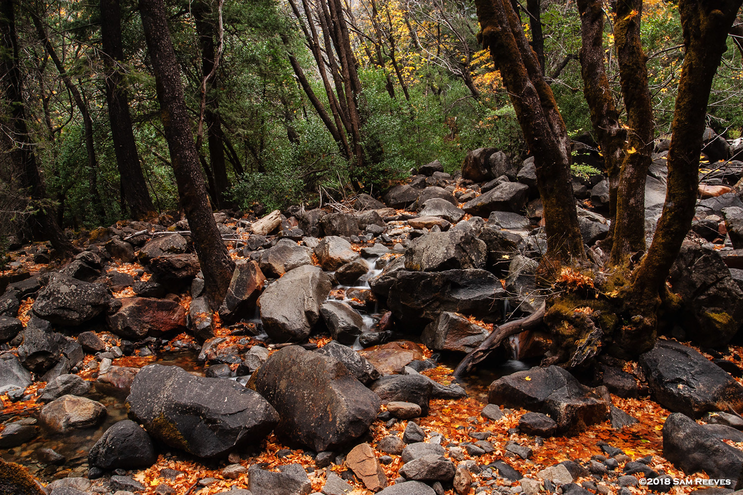 Yosemite