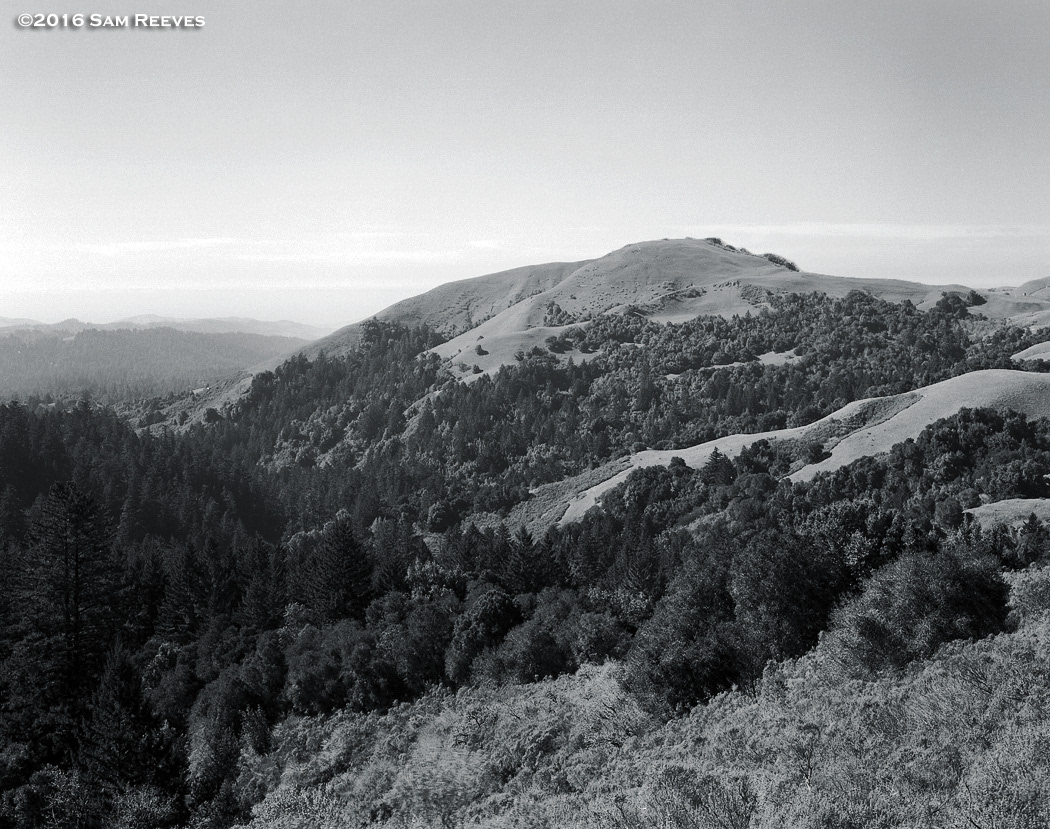 La Honda