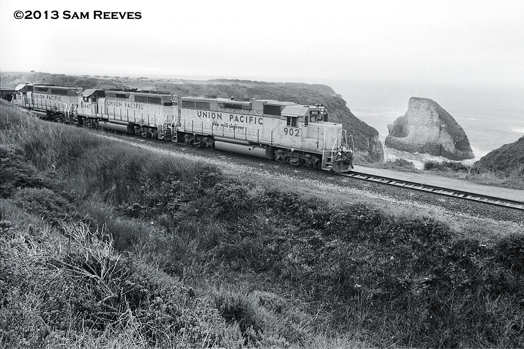 Santa Cruz Local at Davenport