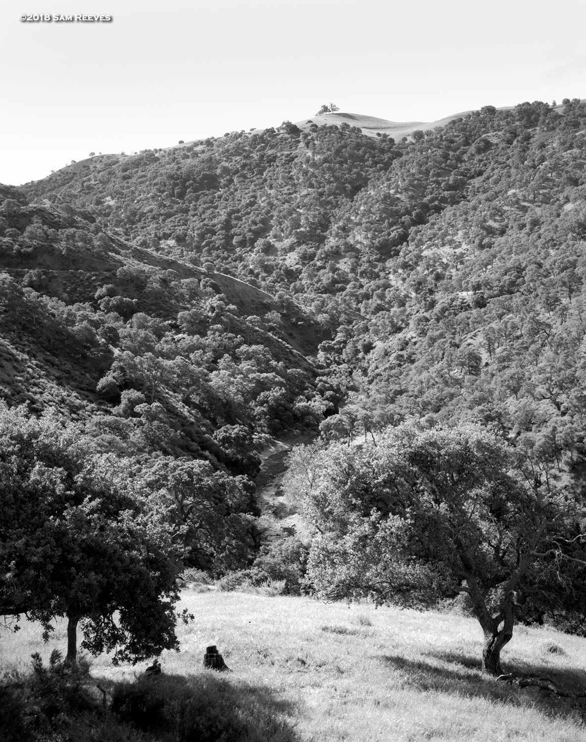 Livermore