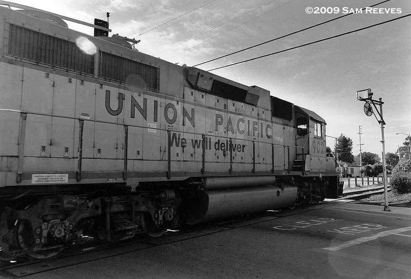 Santa Cruz Local at Seabright
