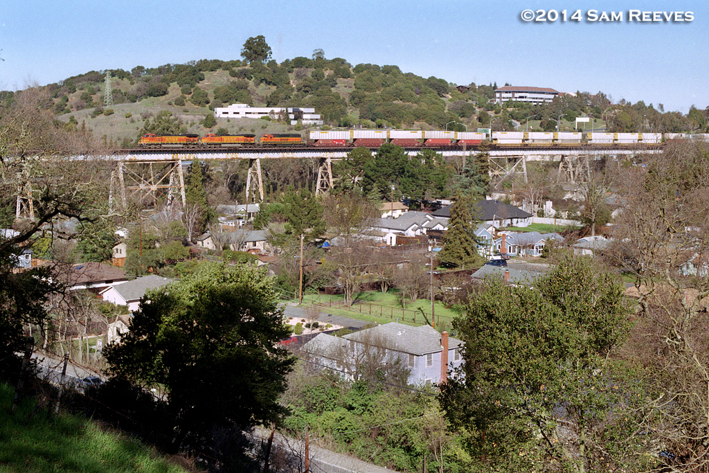 Muir, near Martinez