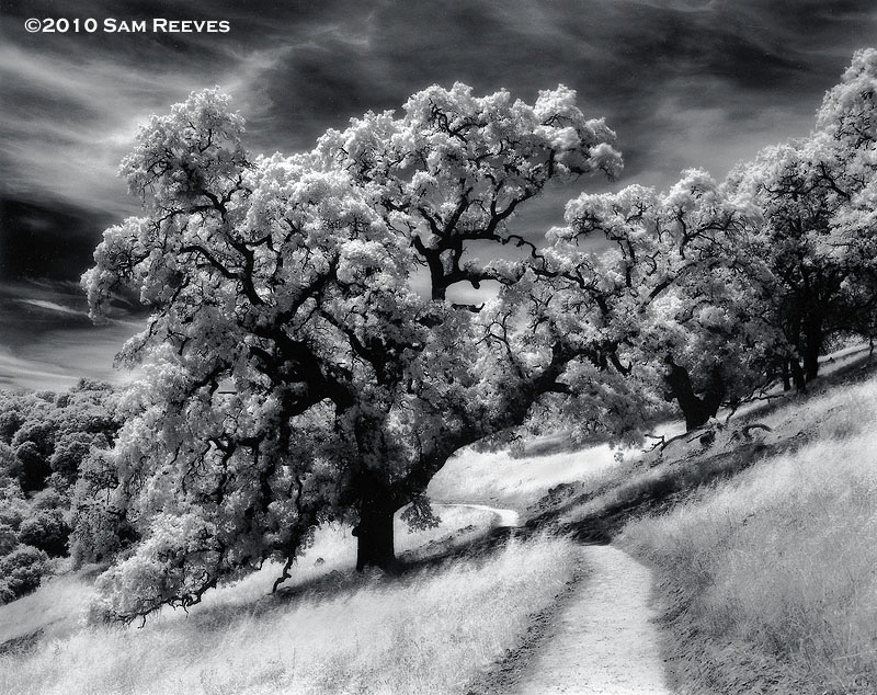 Coe Park, Morgan Hill