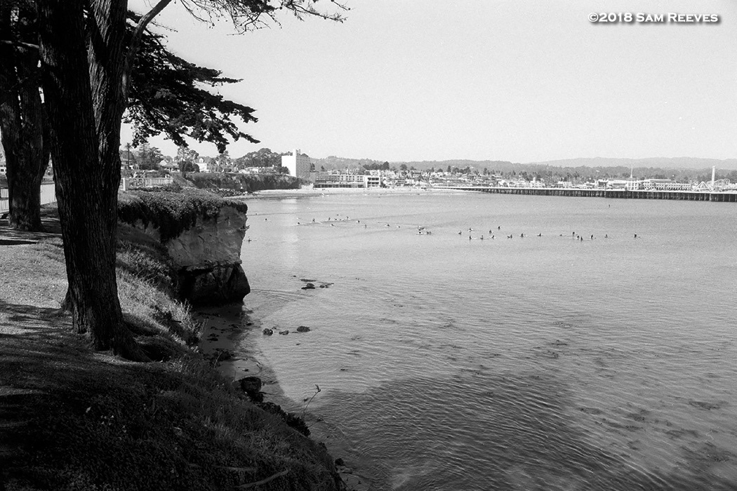 Santa Cruz