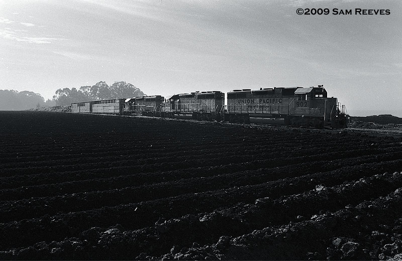 Santa Cruz Local at La Selva Beach