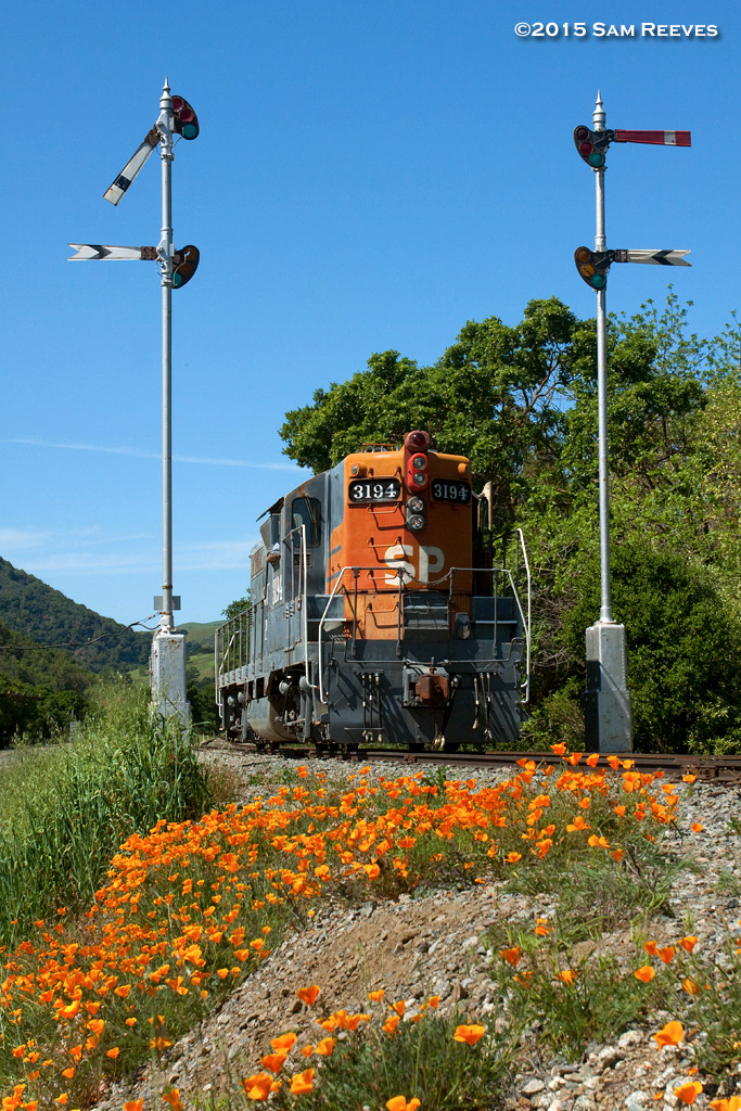 Sunol