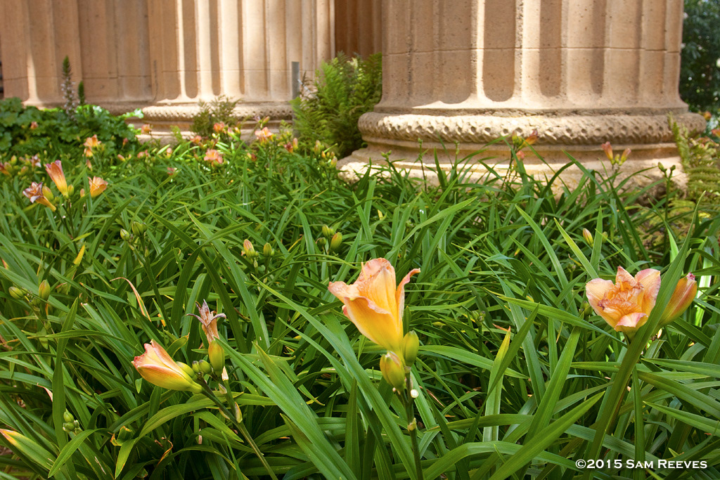 Palace of Fine Arts, San Francisco