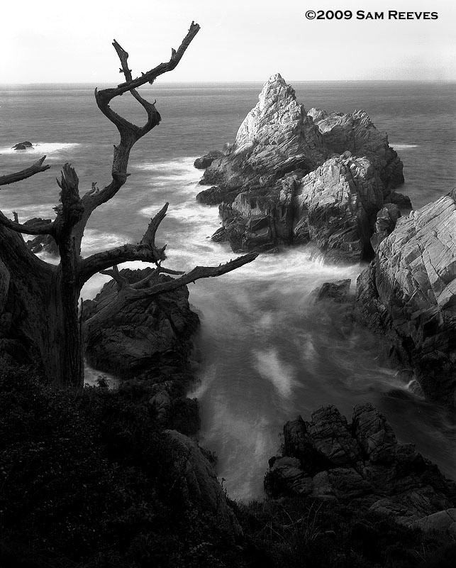 Point Lobos
