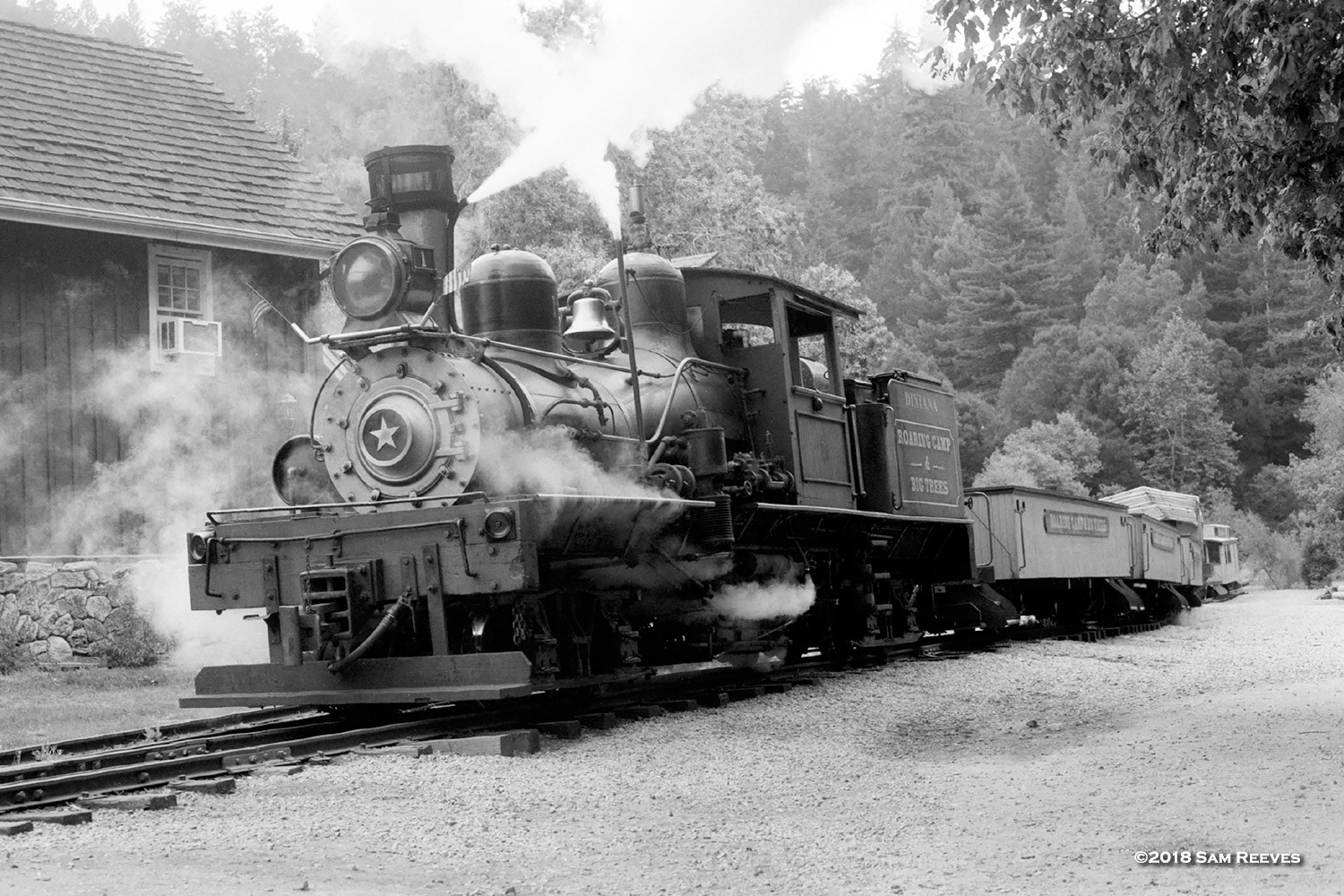 Roaring Camp