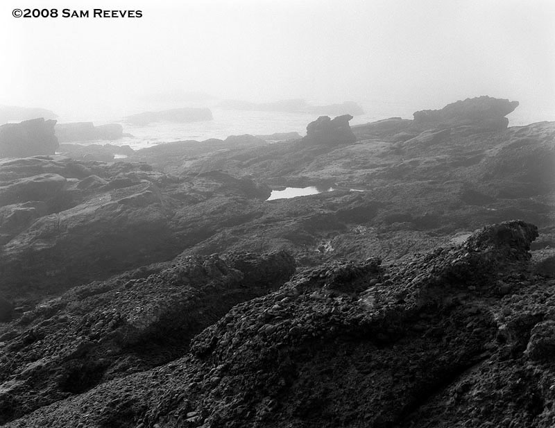 Point Lobos
