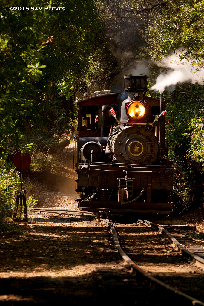 Roaring Camp