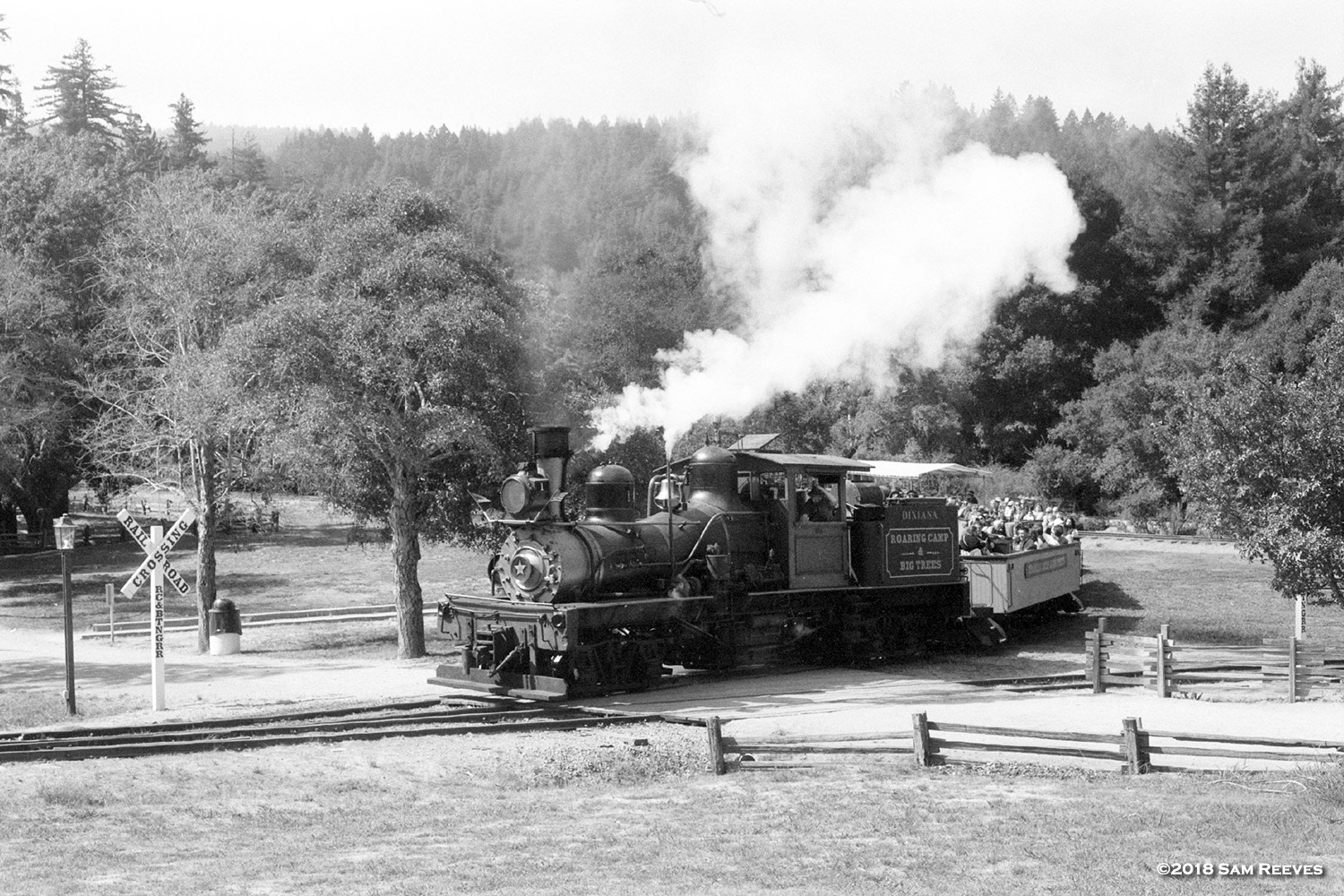 Roaring Camp