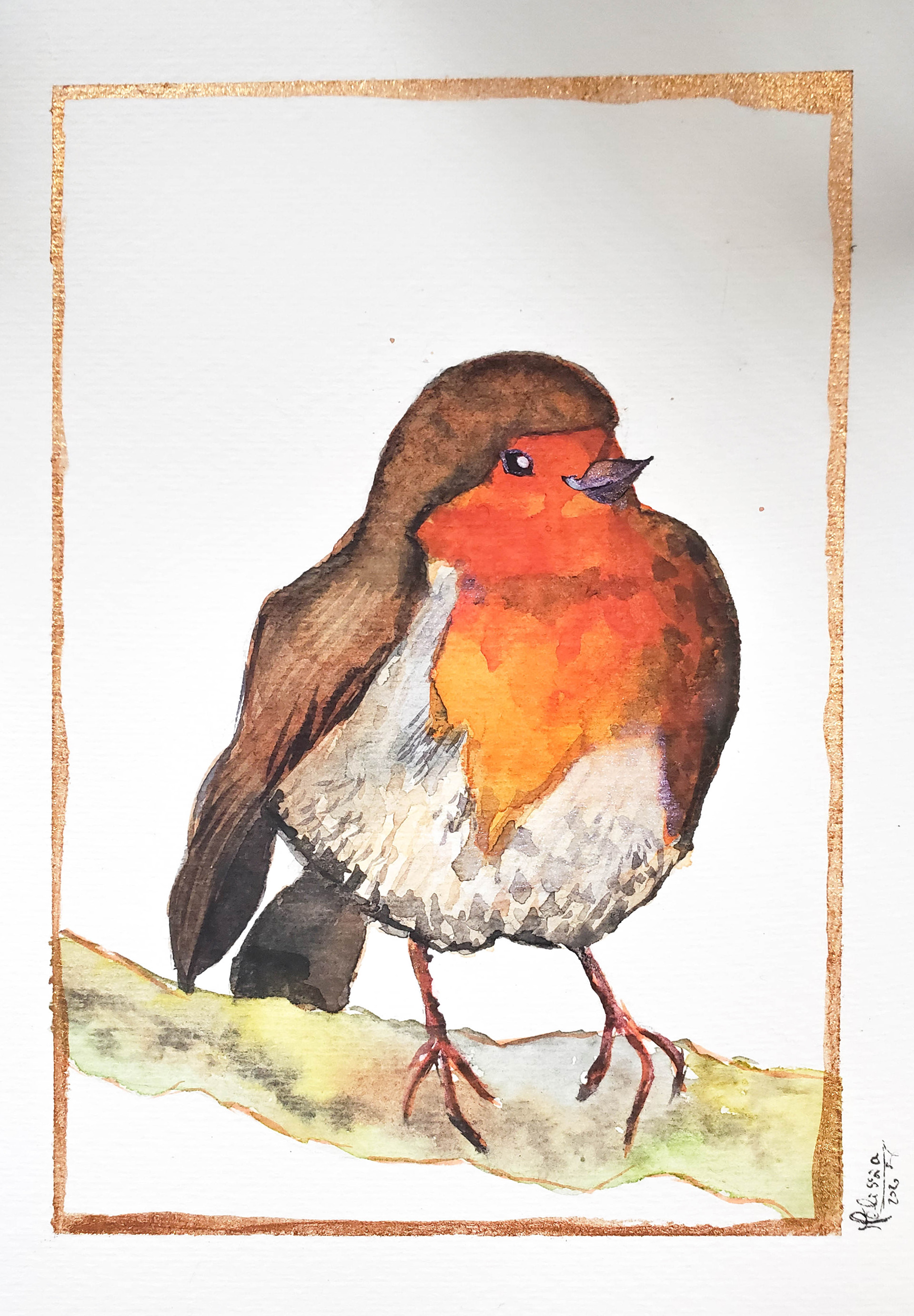 Rouge-gorge