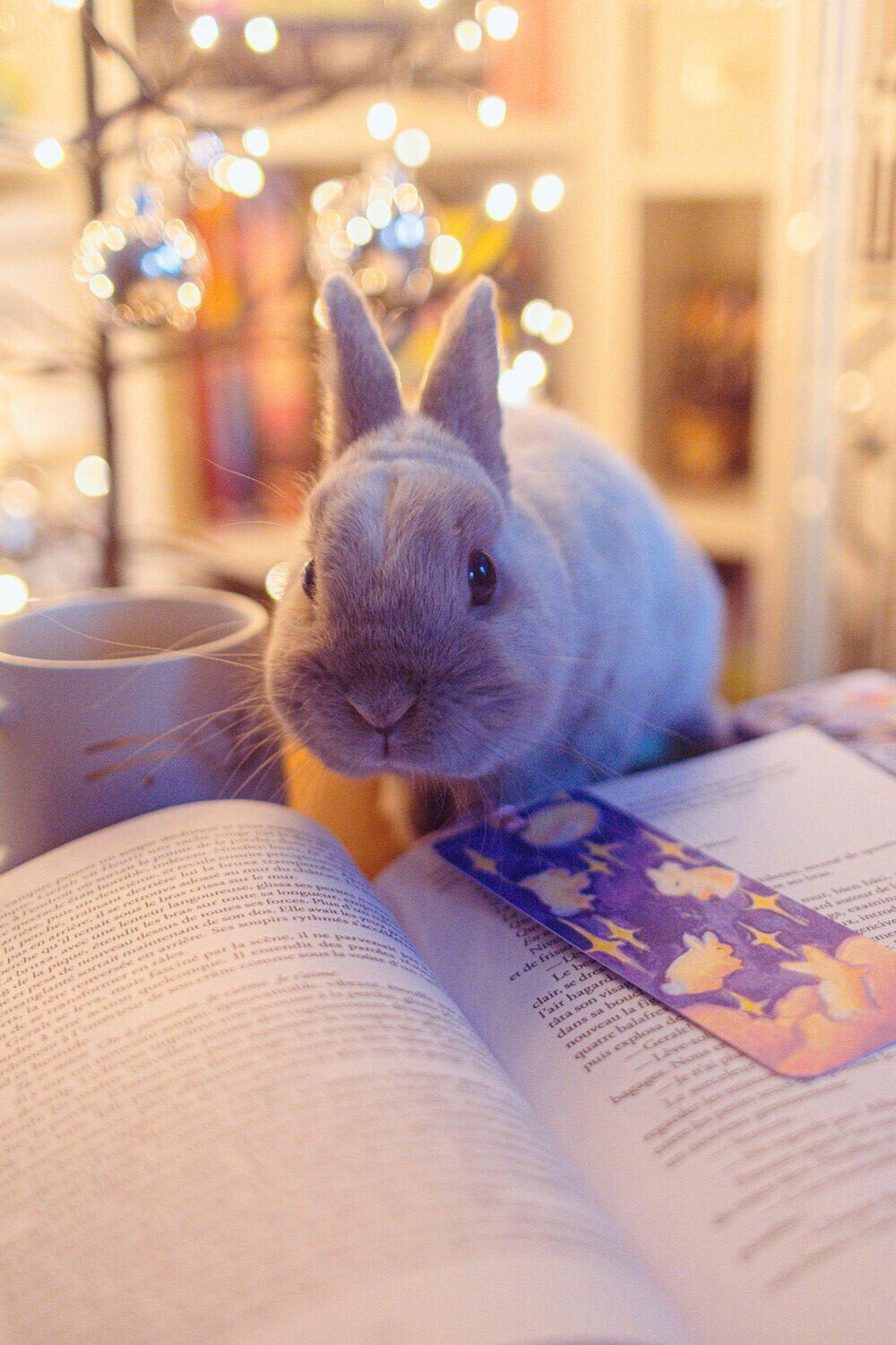 Sanka, l'inspiration de mon logo