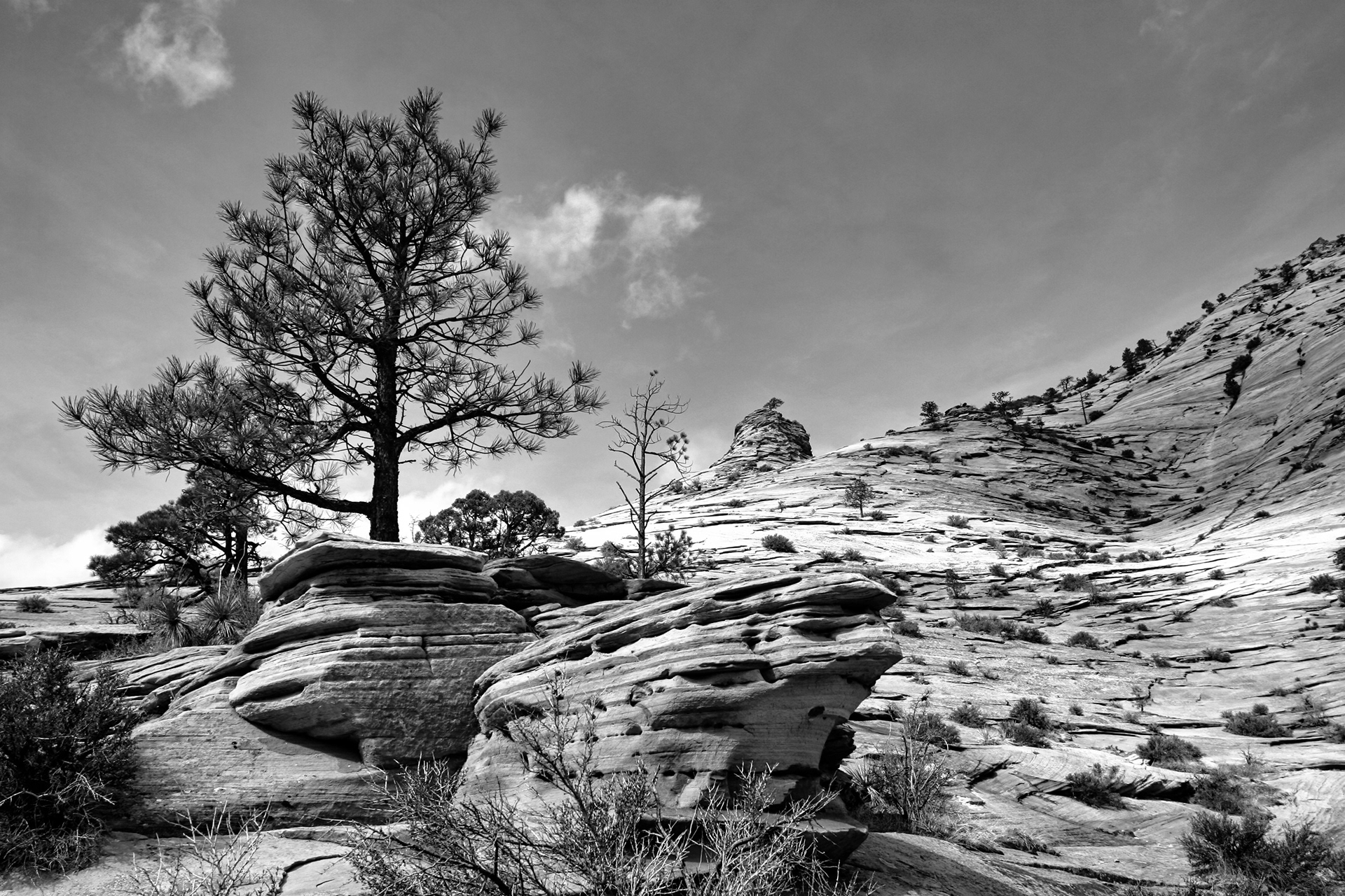 Zion