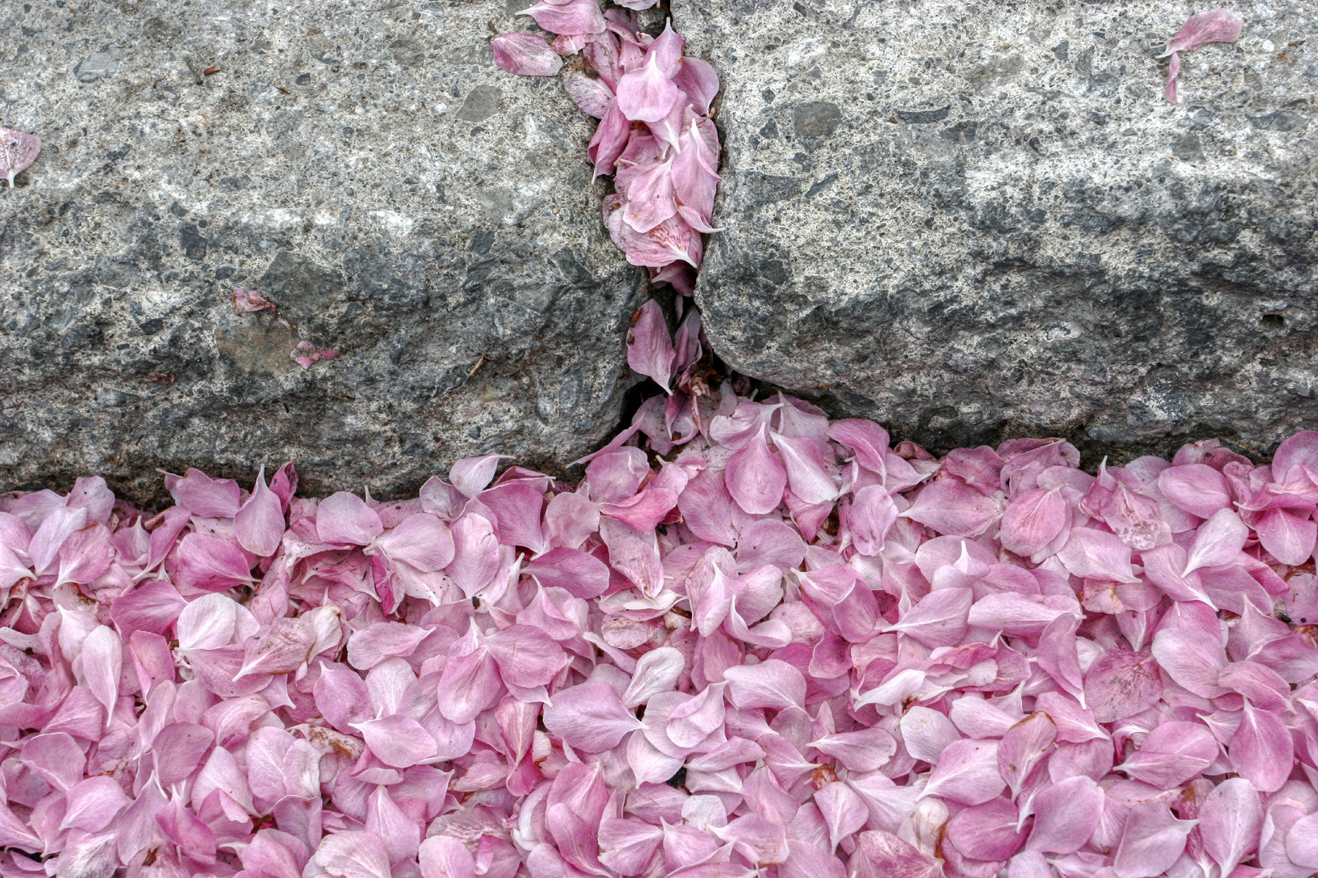 Quartier des spectacles de Montréal