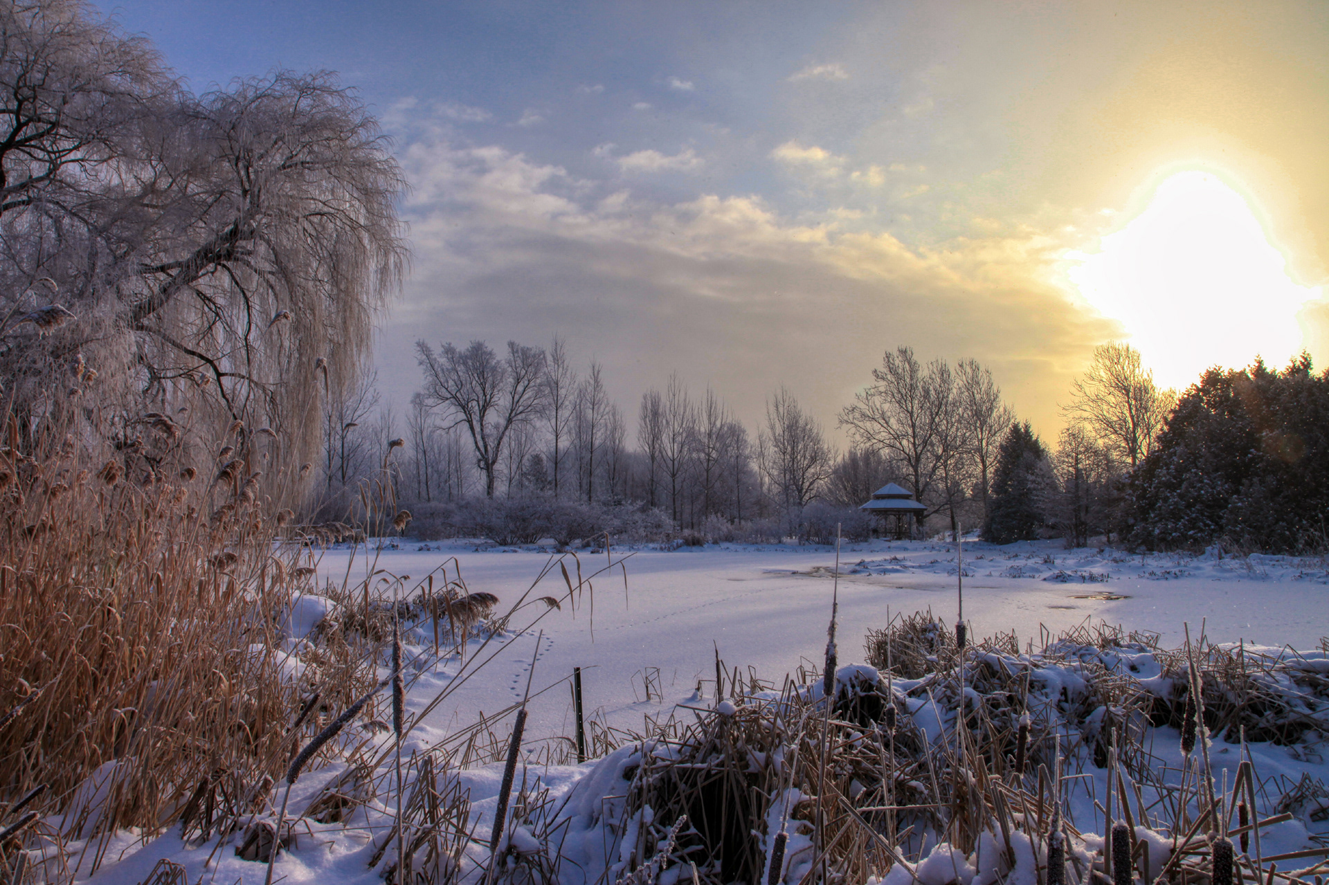 Jardin botanique de Montréal