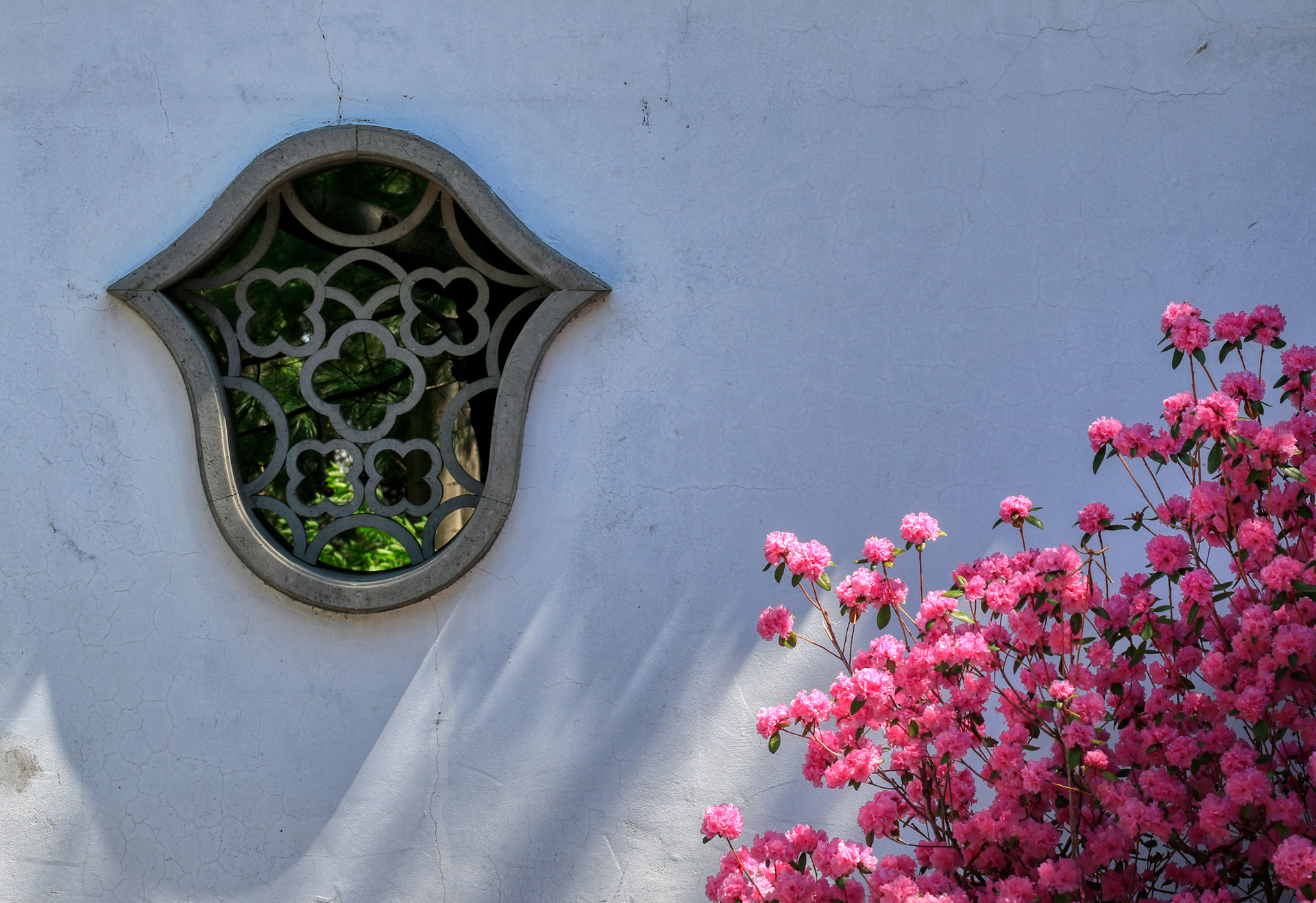Jardin Chinois de Montréal