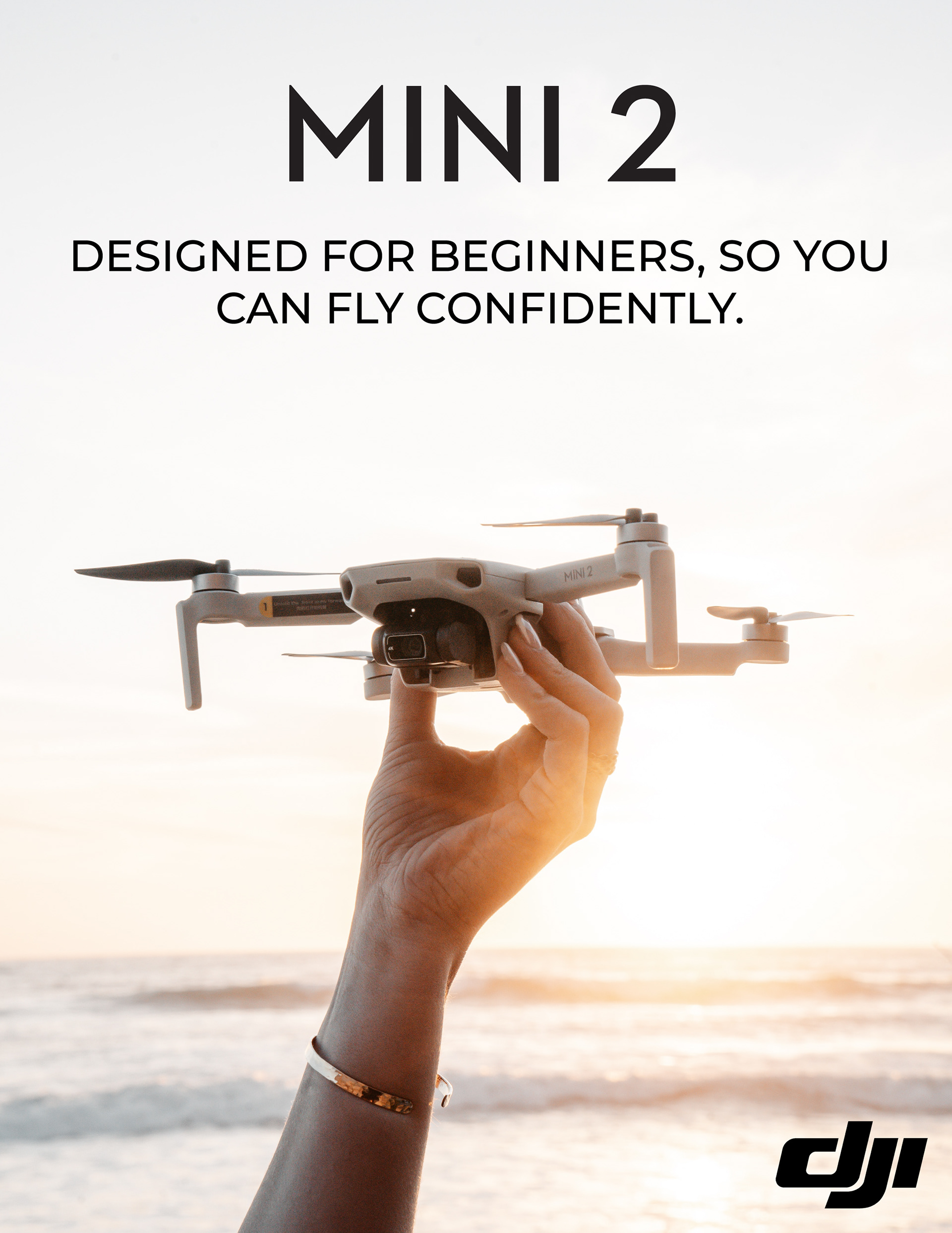 DJI Mini 2 Poster Design