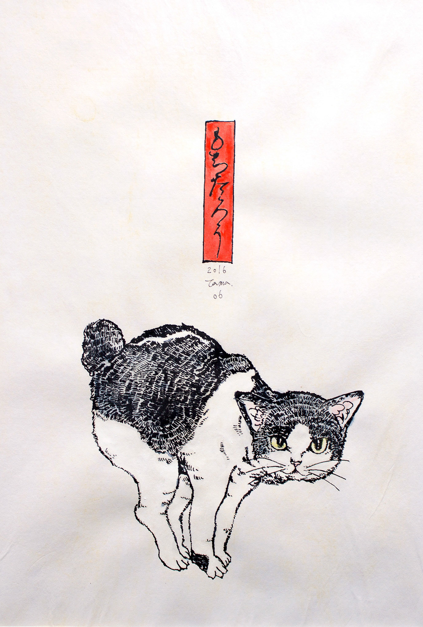 もちたろう