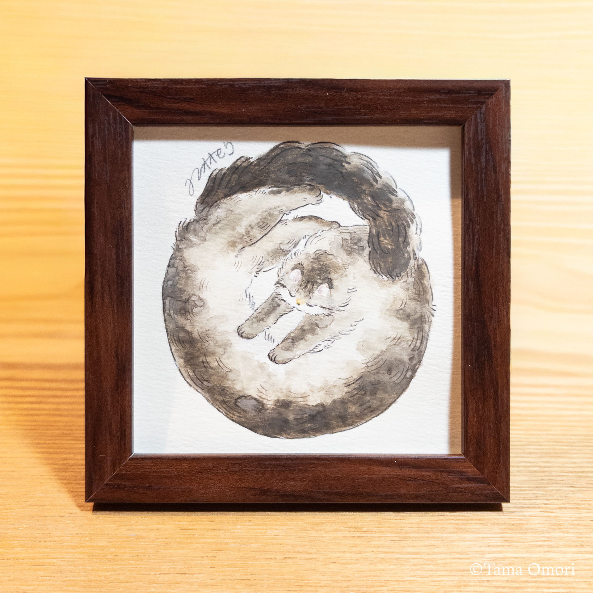 猫とはそういうもの