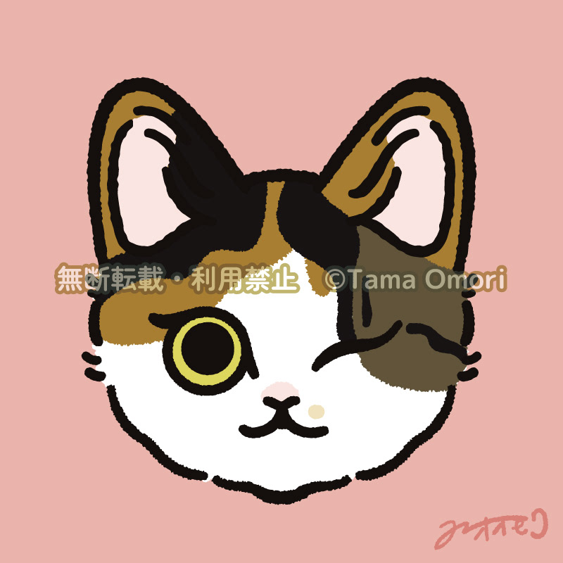 SNSアイコン