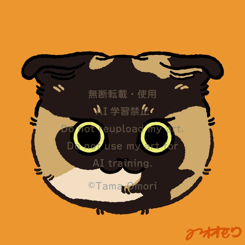 SNSアイコン