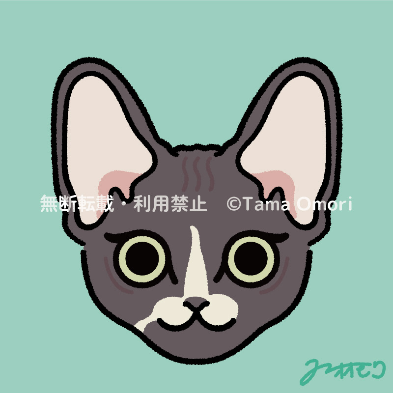 SNSアイコン
