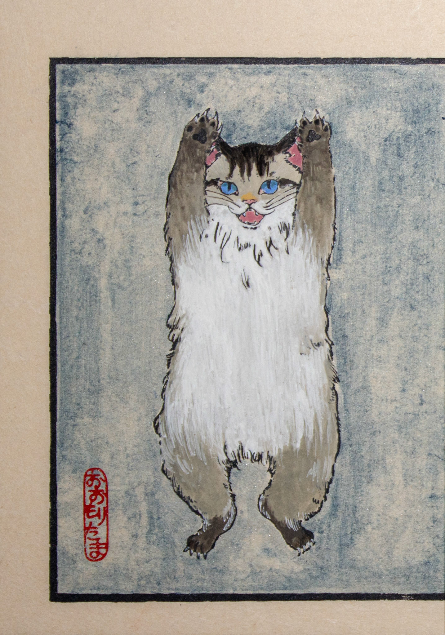 猫と蝙蝠の修行