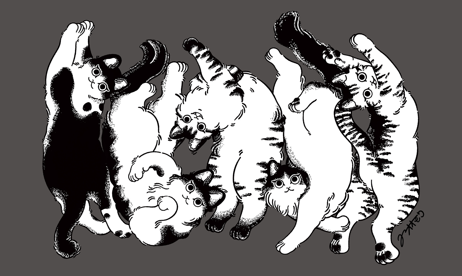 ねこB