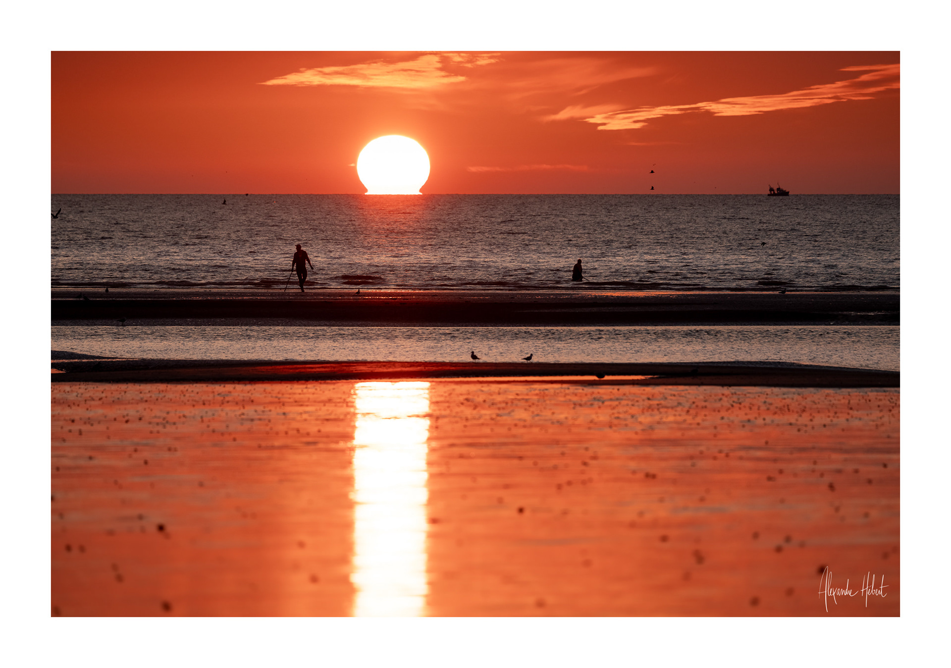 Photo n°50F
