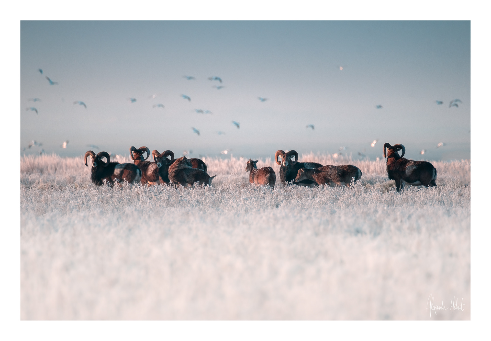 Photo n°24G