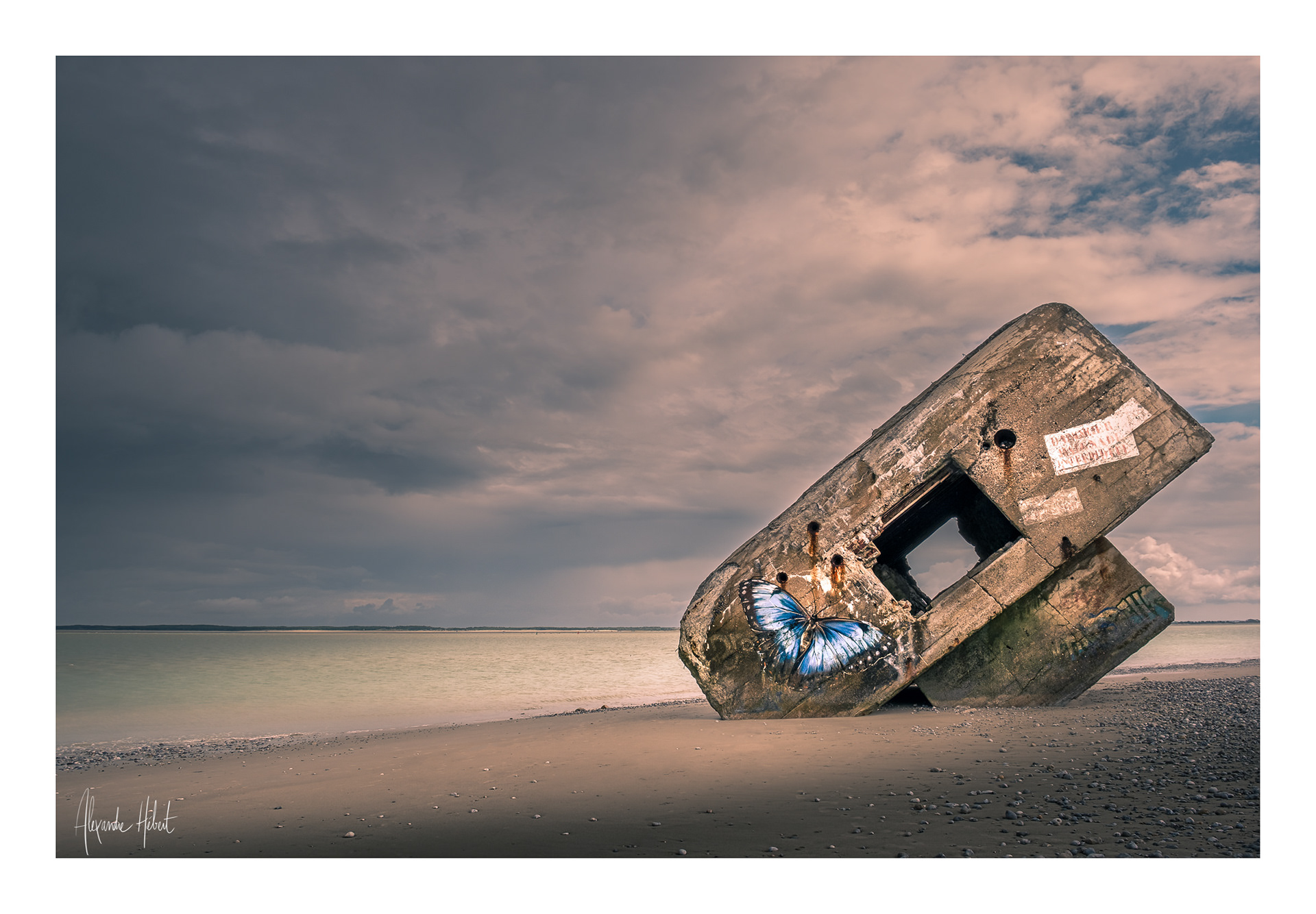 Photo n°6D