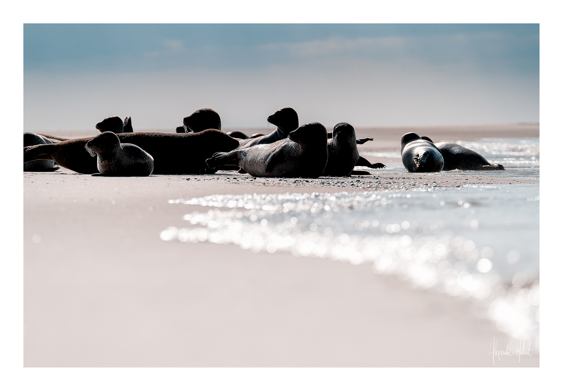 Photo n°2G