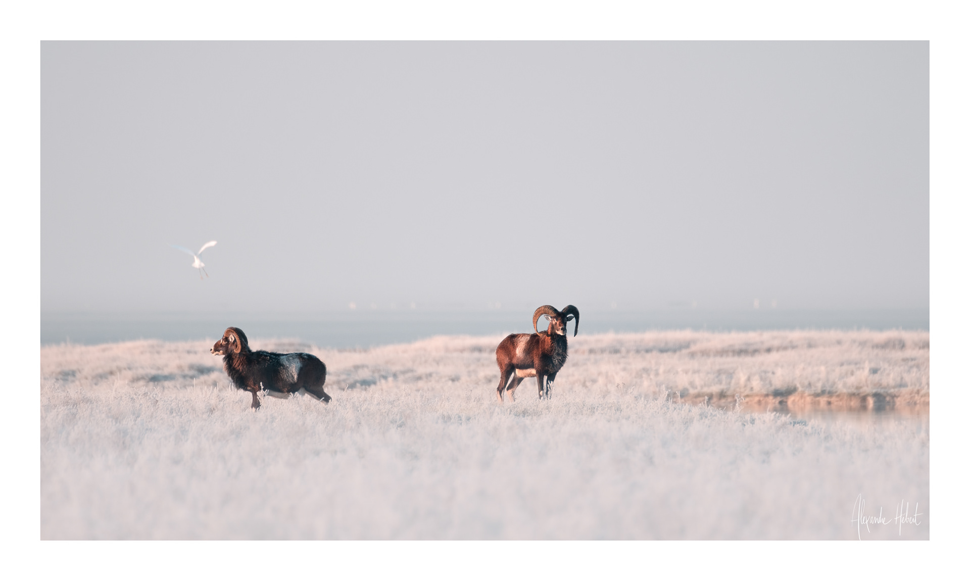 Photo n°23G
