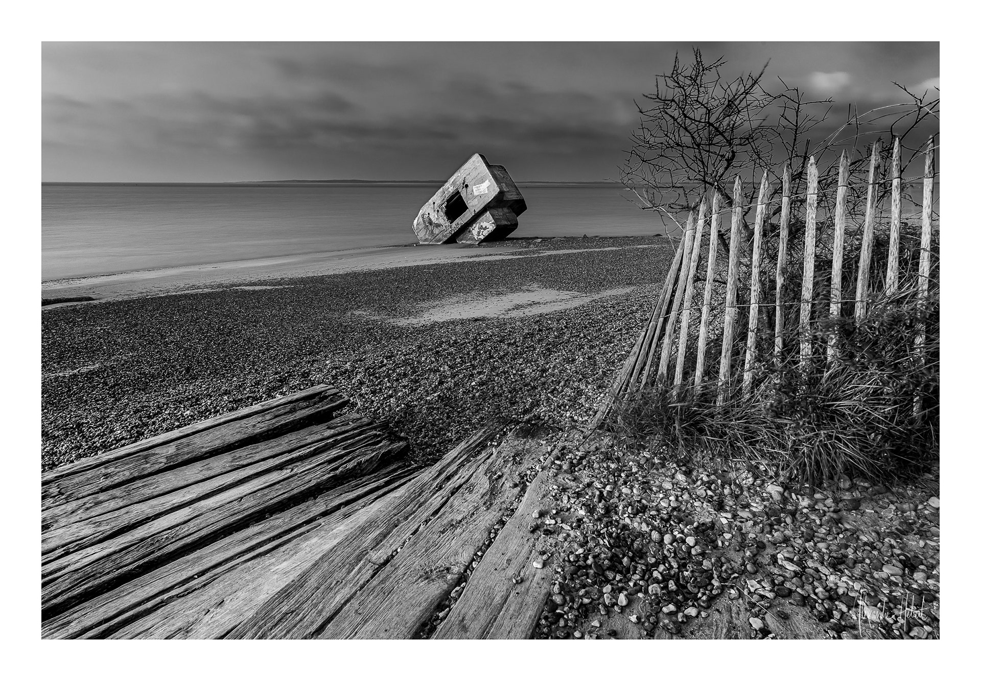 Photo n°2NB