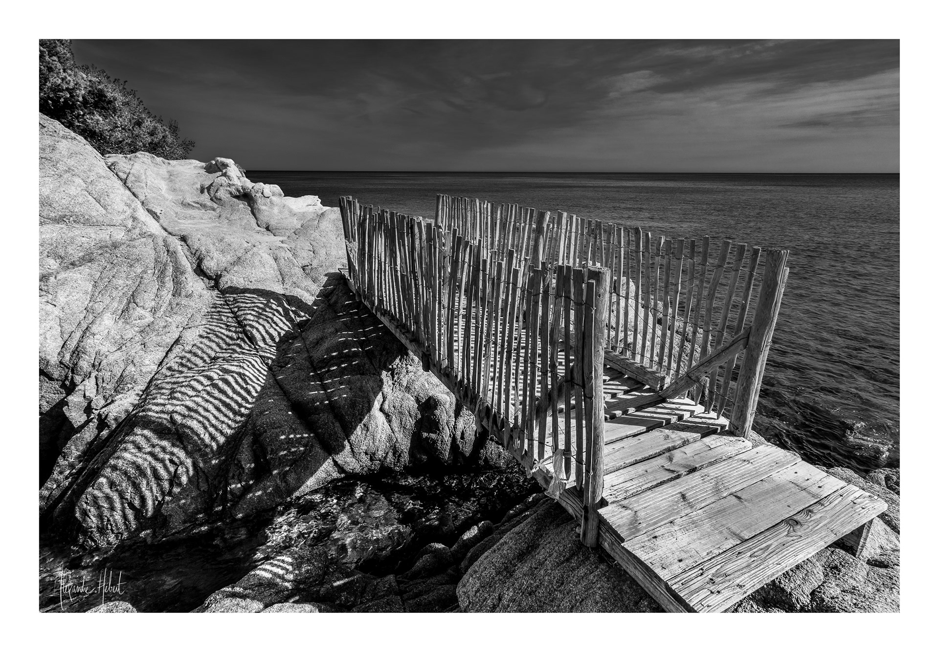 Photo n°8NB