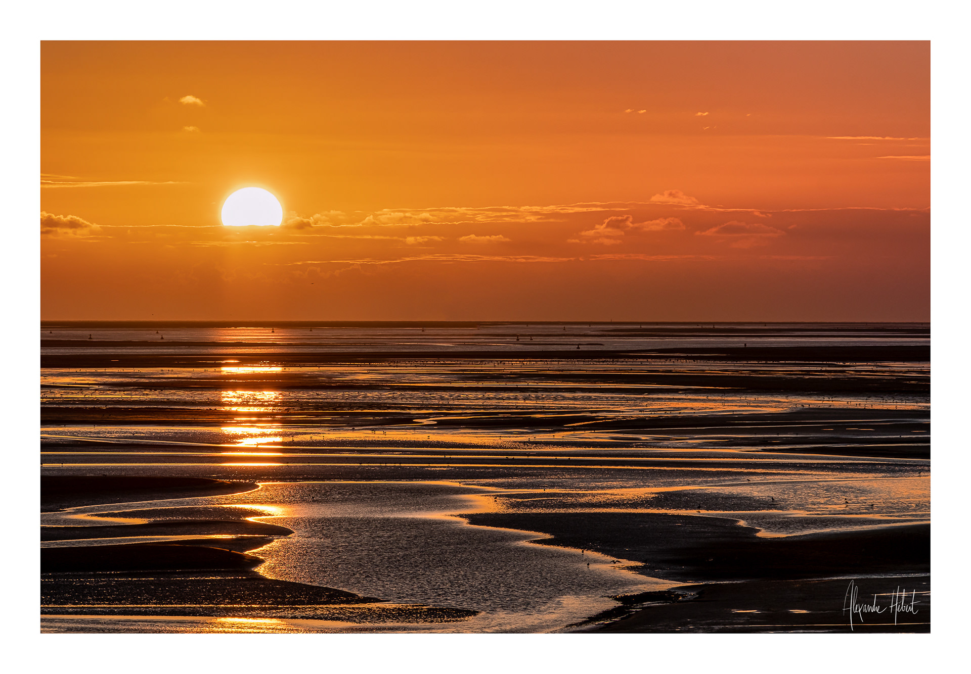 Photo n°1F
