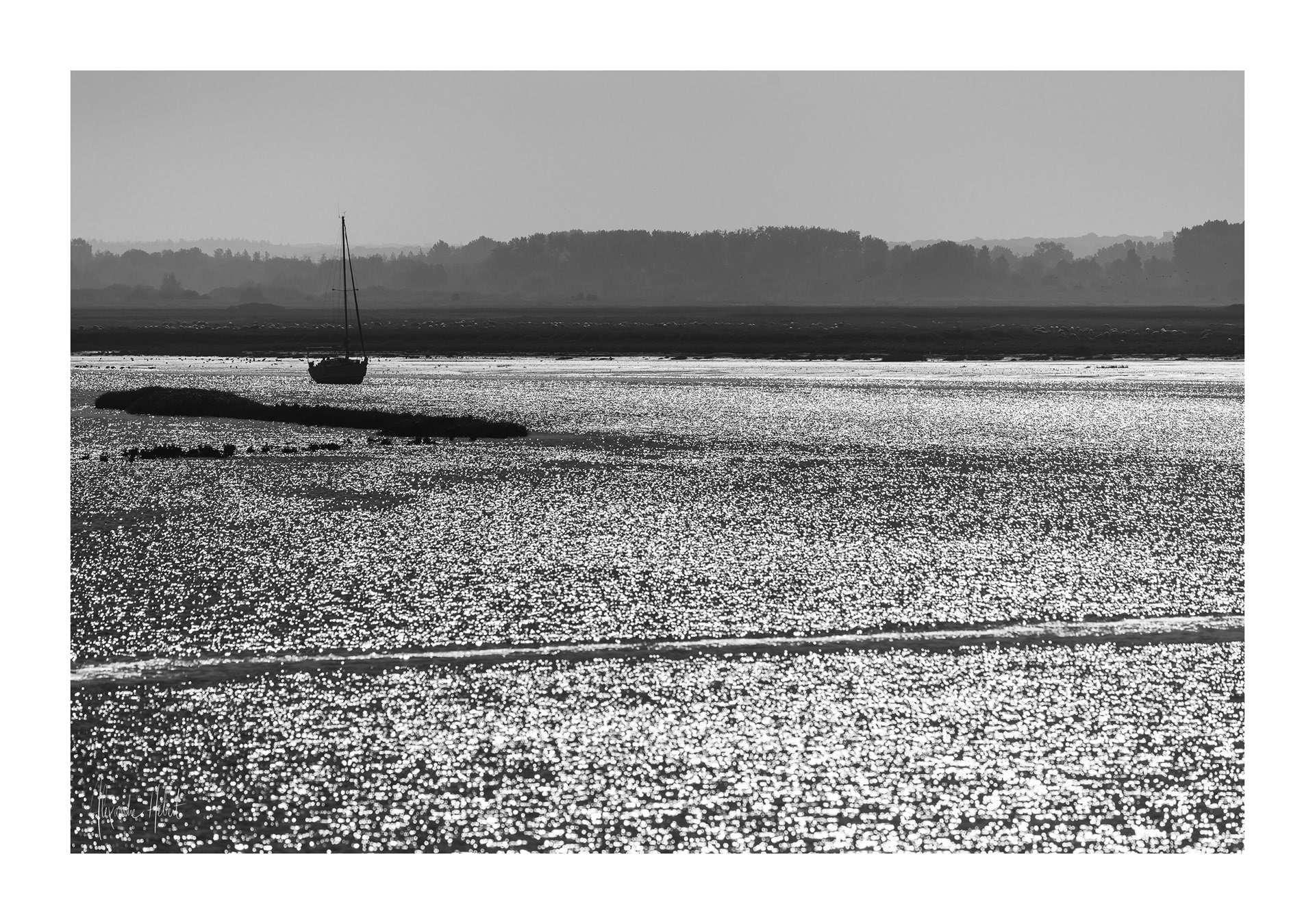 Photo n°46NB
