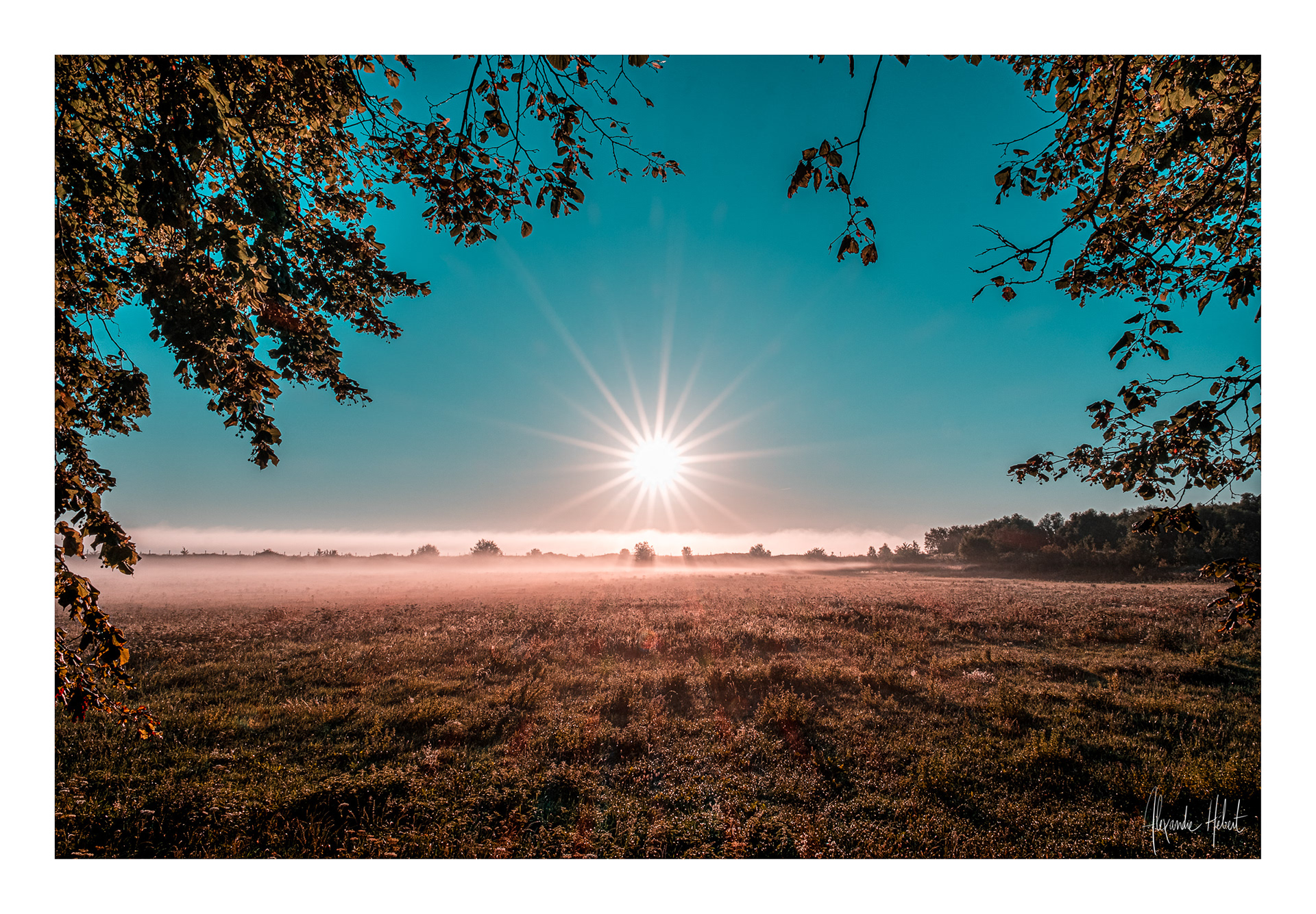 Photo n°25F