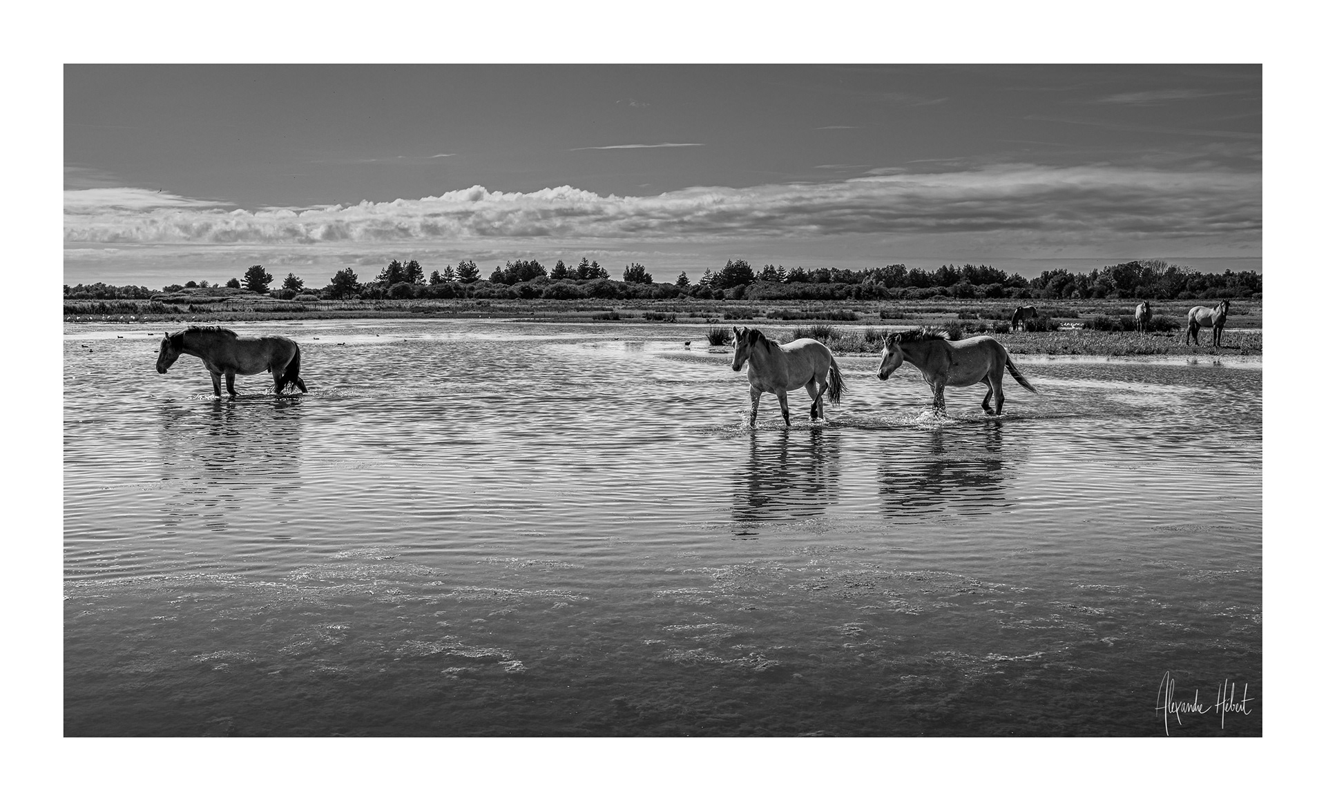 Photo n°16NB