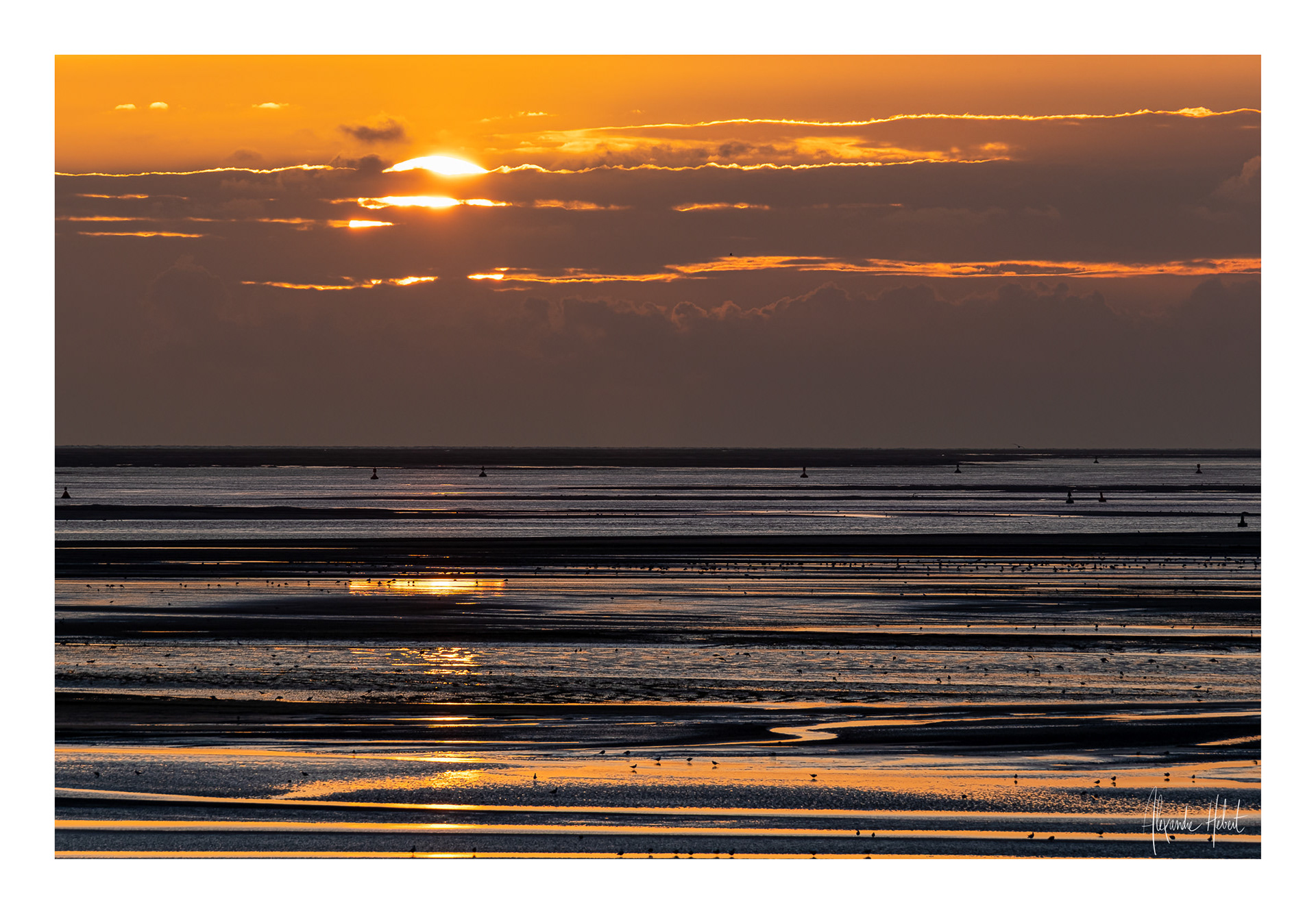 Photo n°2F