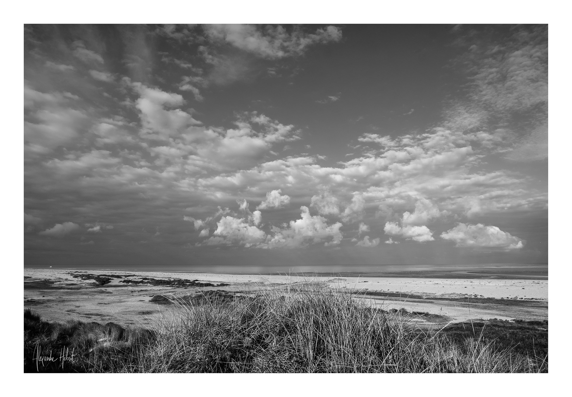 Photo n°4NB