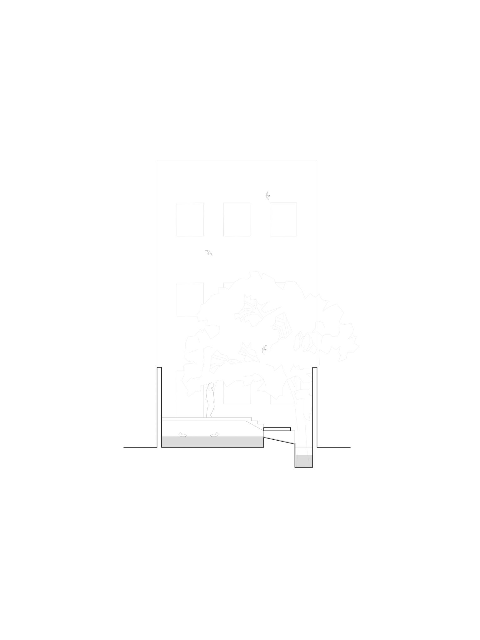 Cross-Section (Summer)
