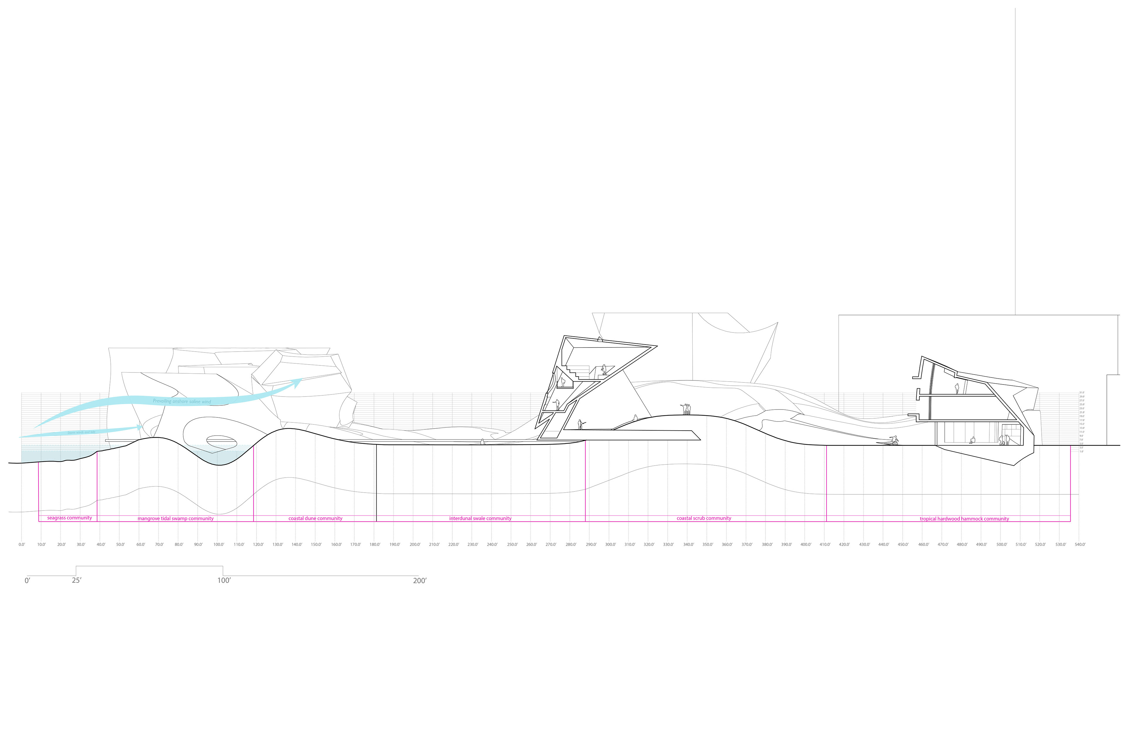 Site Cross-Section