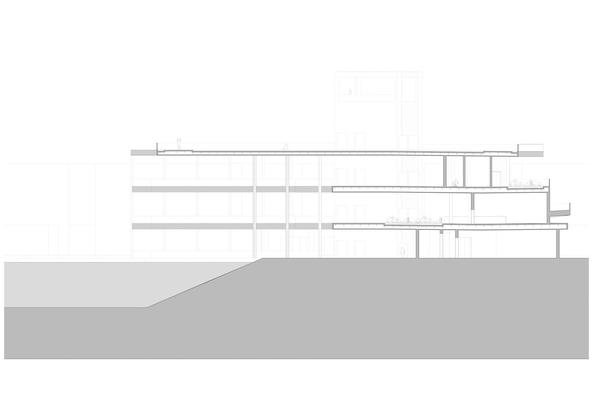 Cross-Section 3