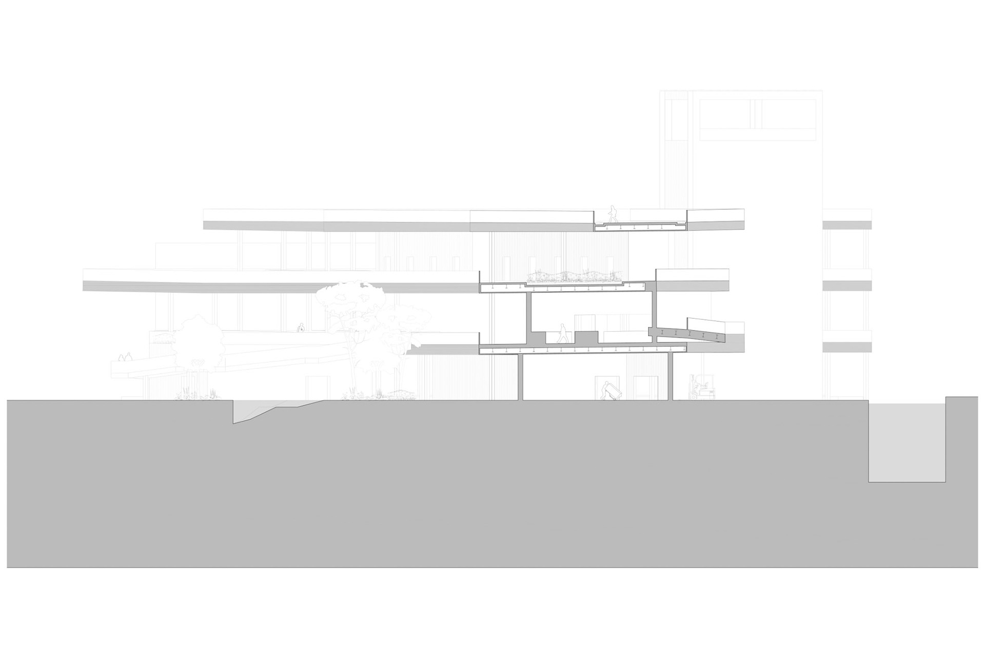 Cross-Section 1
