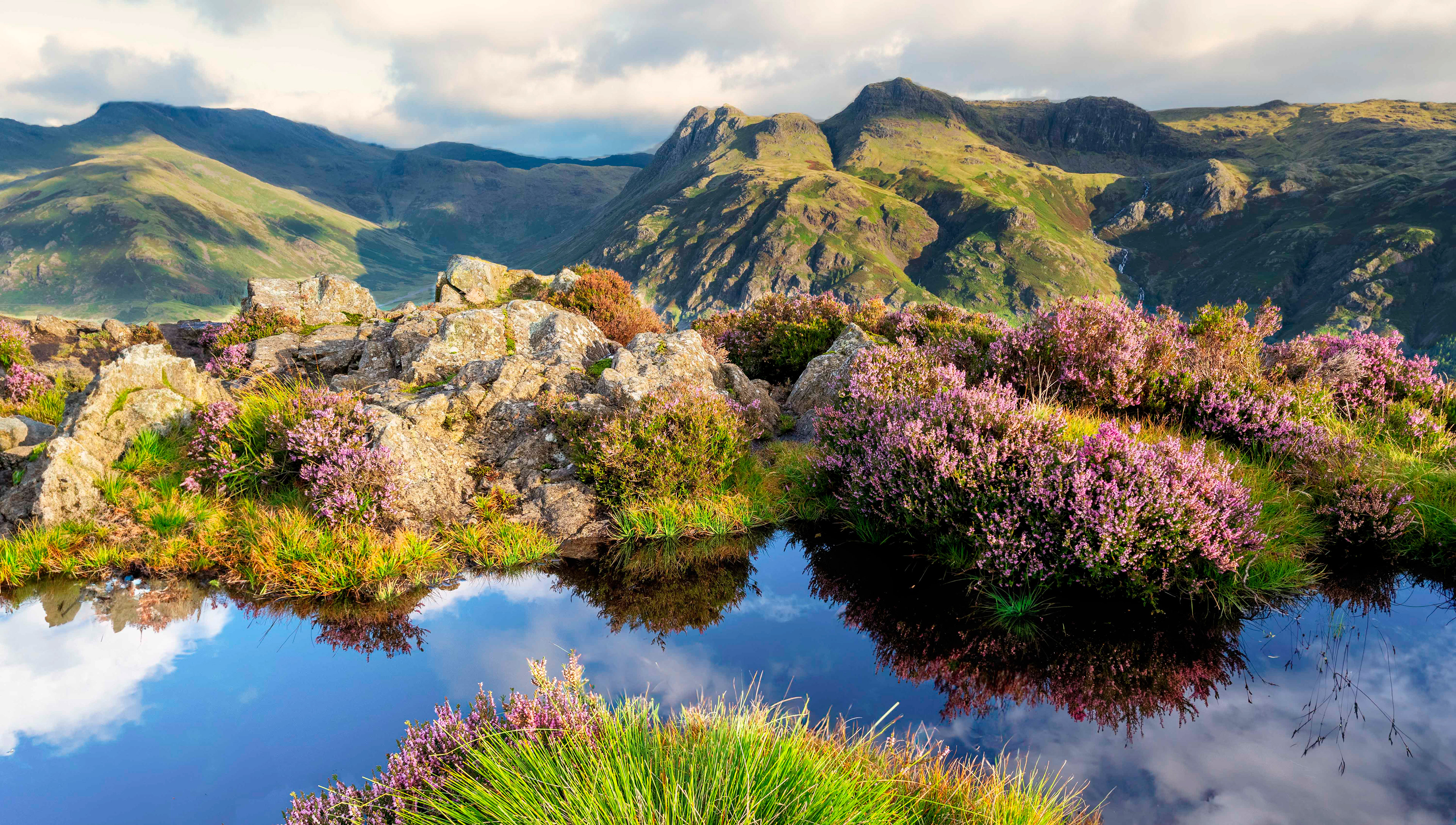 Lingmoor Fell
